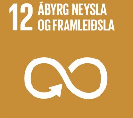 Heimsmarkmið 12 - Ábyrg neysla og framreiðsla